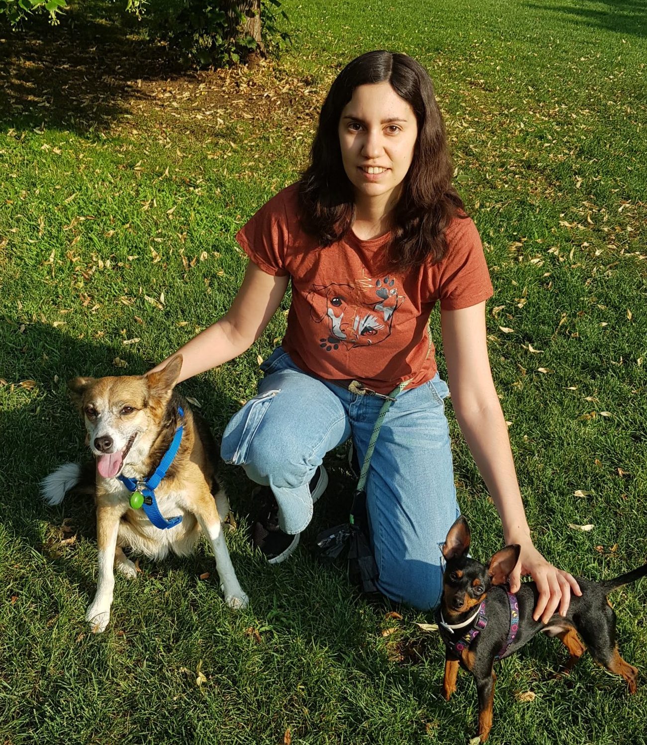 Adiestrador canino